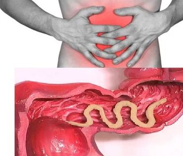 Parasitas humanos